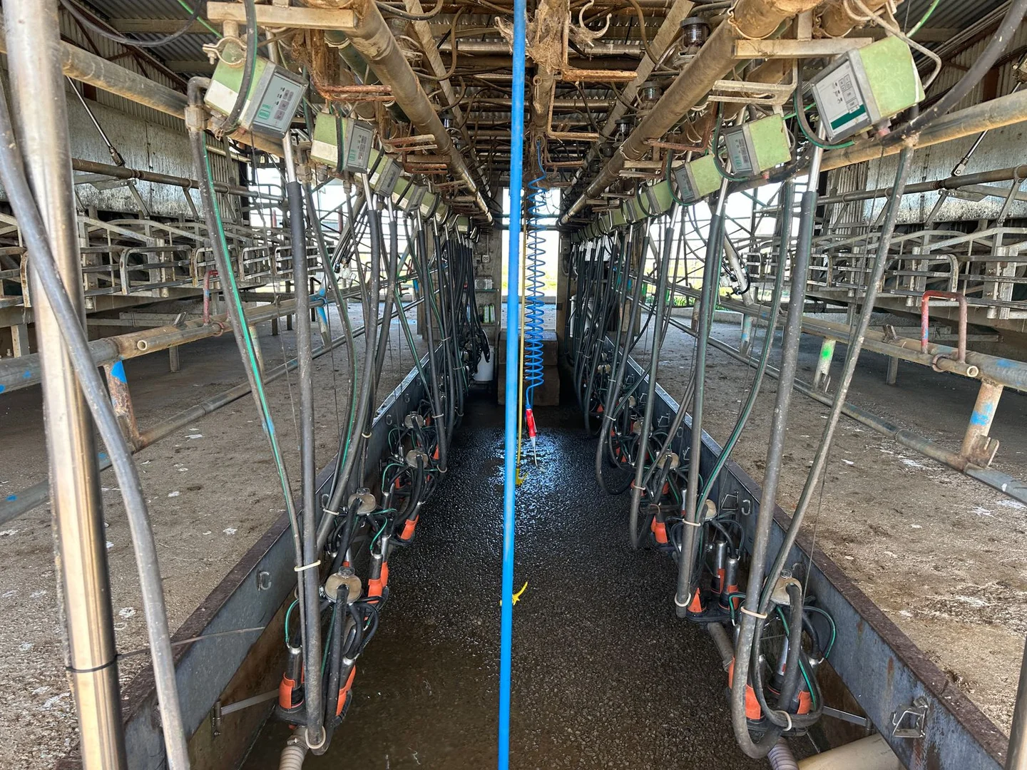 Additional image 6 of 186 Hildebrands Road, Horfield VIC 3567