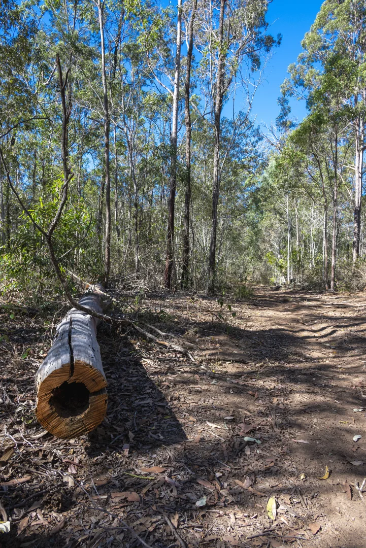 Additional image 23 of 151 Cameron Road, Taromeo QLD 4314