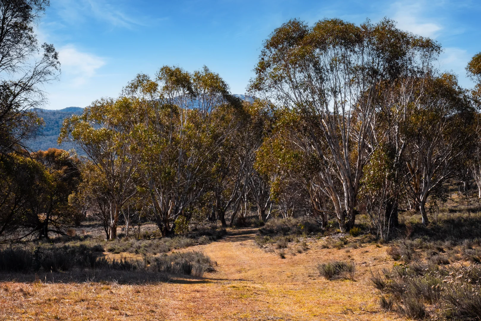 Additional image 6 of 42 Outpost Road, Yaouk NSW 2629
