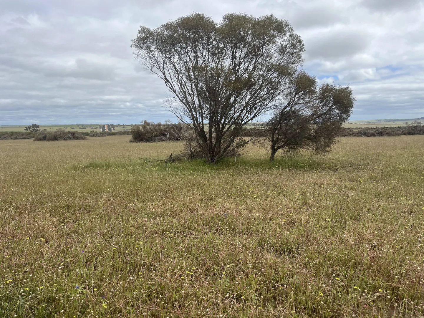 Additional image 10 of Lot 100 First North Road, Kadathinni WA 6519