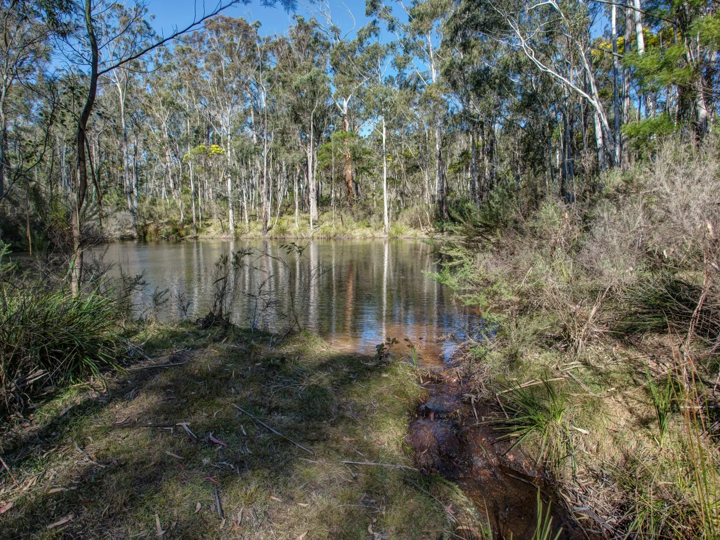 Additional image 21 of 170 Wattle Flats Road, Canyonleigh NSW 2577