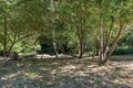 Additional image 44 of 9935 Occidental Rd, Sebastopol, CA, 95472