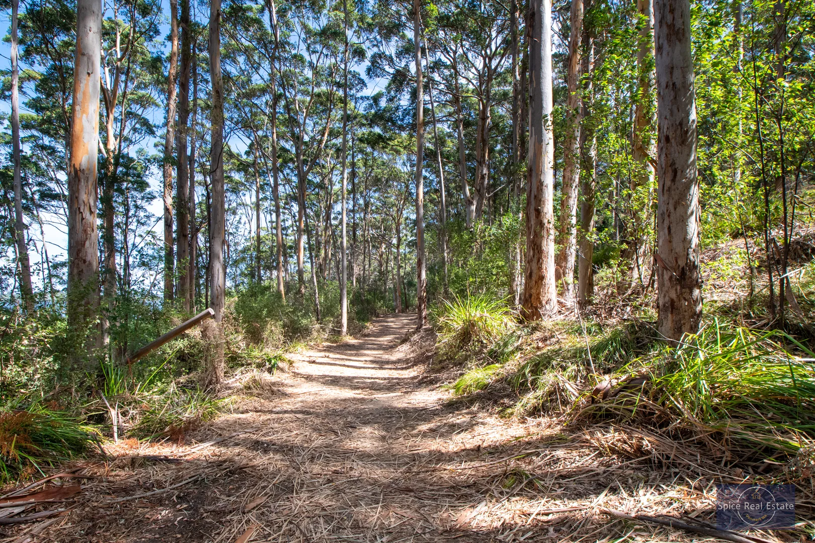 Additional image 7 of 10 Payne Road, Denmark WA 6333