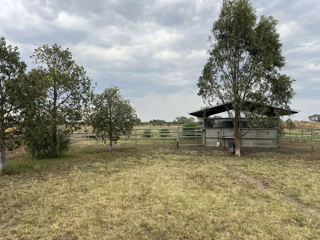 Additional image 20 of 48 Gurley Settlers Road, Gurley NSW 2398