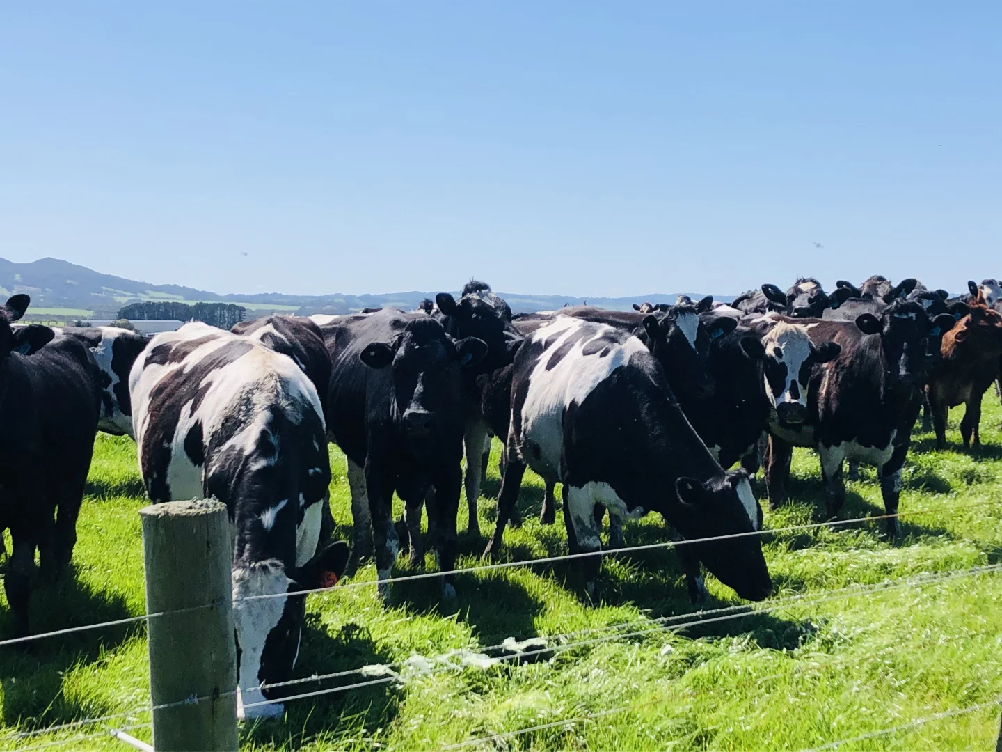 Additional image 16 of 2988 Meeniyan-Prom Rd, Yanakie VIC 3960