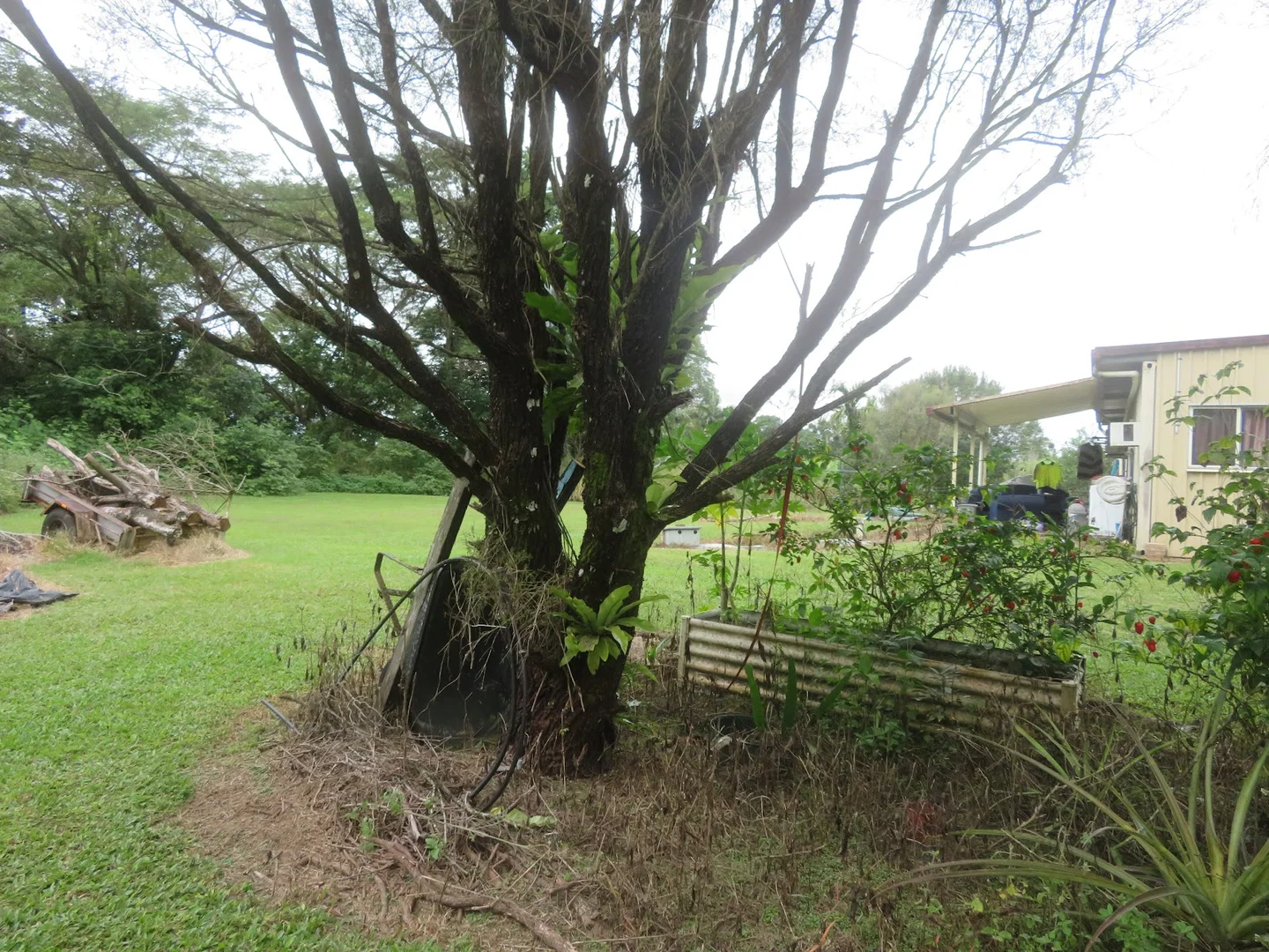 Additional image 19 of 126-128 Bryant Street, Tully QLD 4854