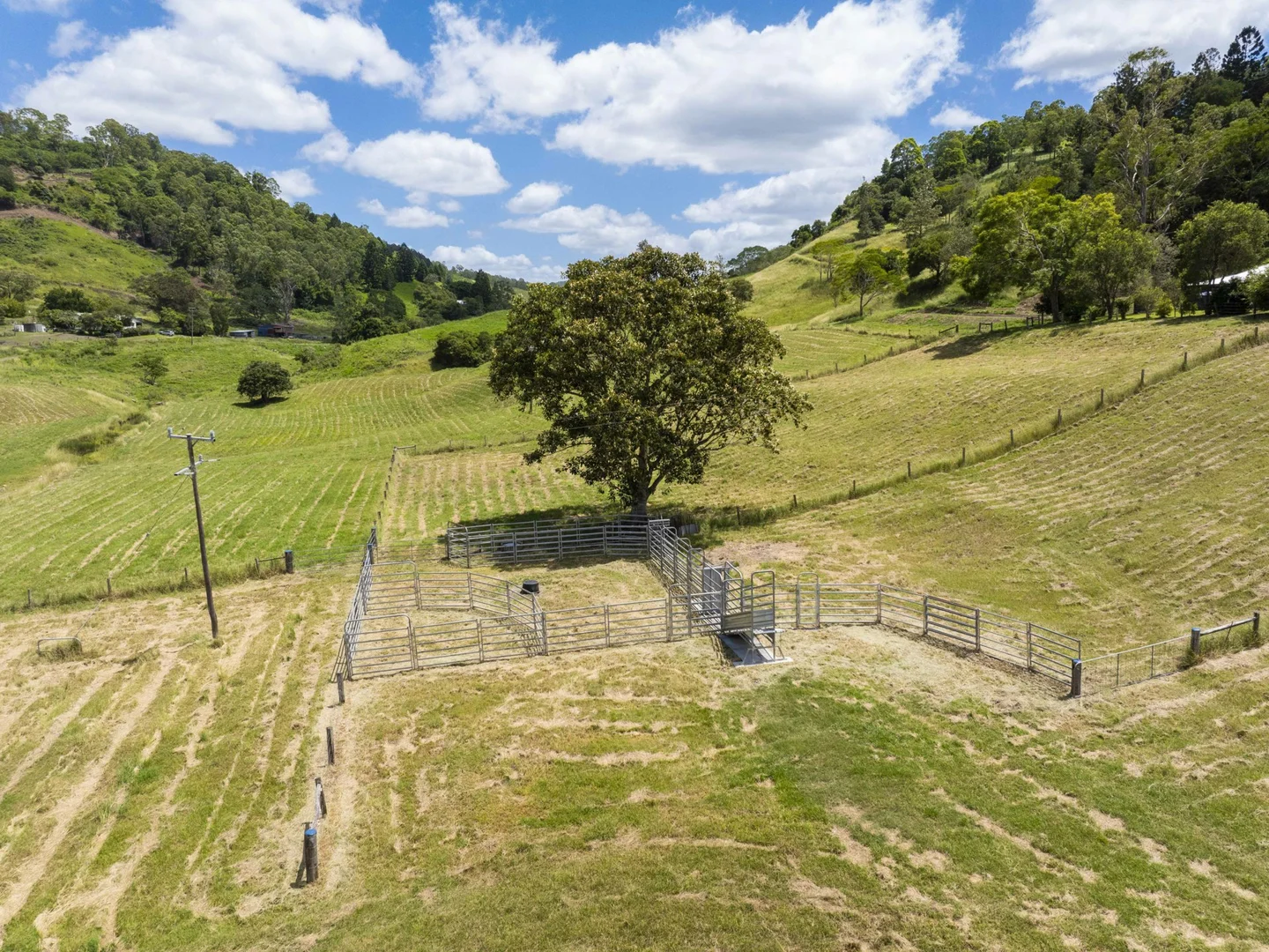 Additional image 21 of 138 Bice Road, Leycester NSW 2480