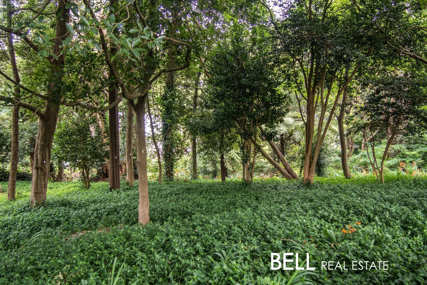 Additional image 13 of 15 Wedgewood Avenue, Belgrave VIC 3160