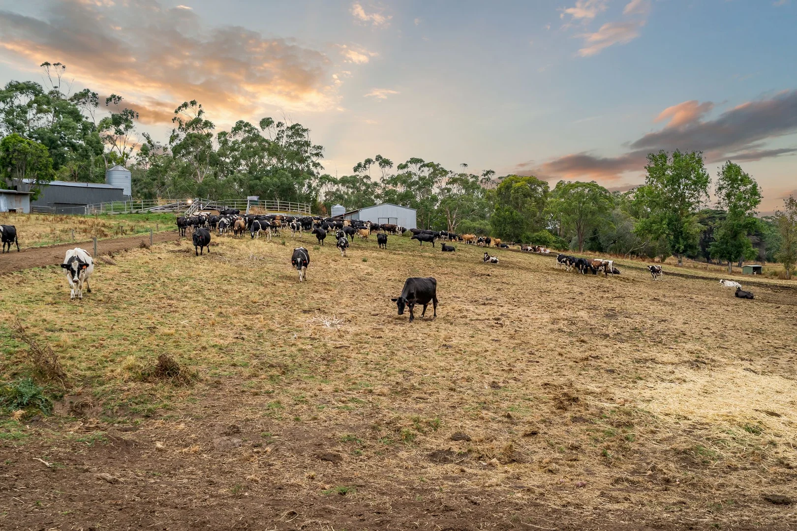 Additional image 12 of 170 Cobden Port Campbell Road, Scotts Creek VIC 3267