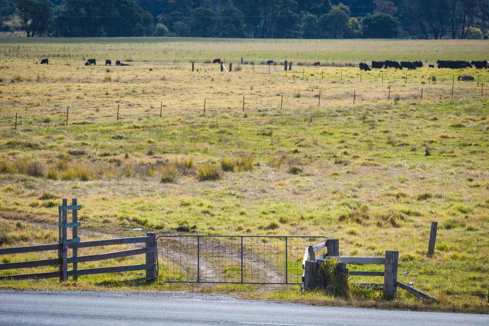 Additional image 24 of 231-232 Mount Darragh Road, South Pambula NSW 2549