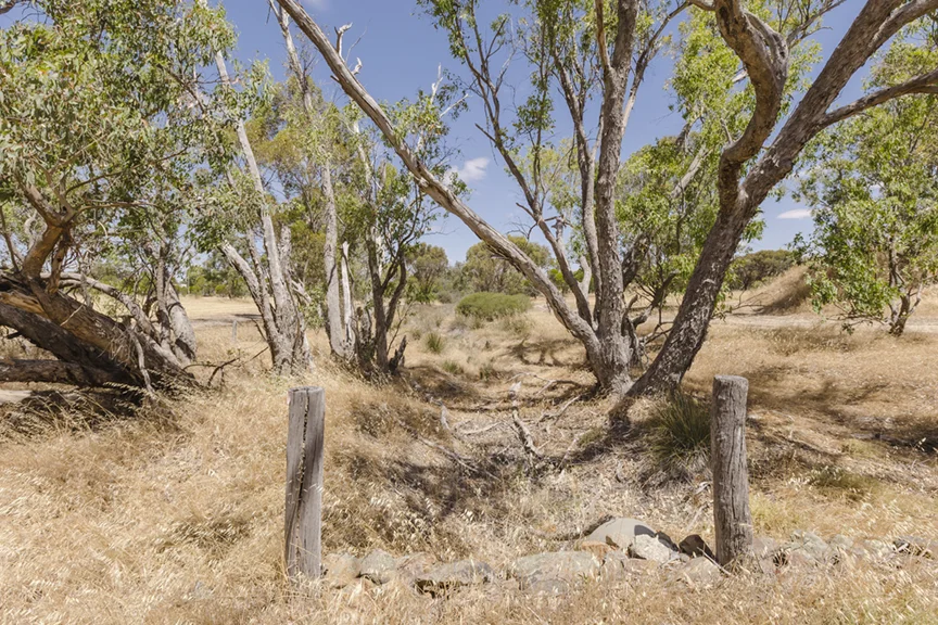 Additional image 29 of 2 York Road, Popanyinning WA 6309