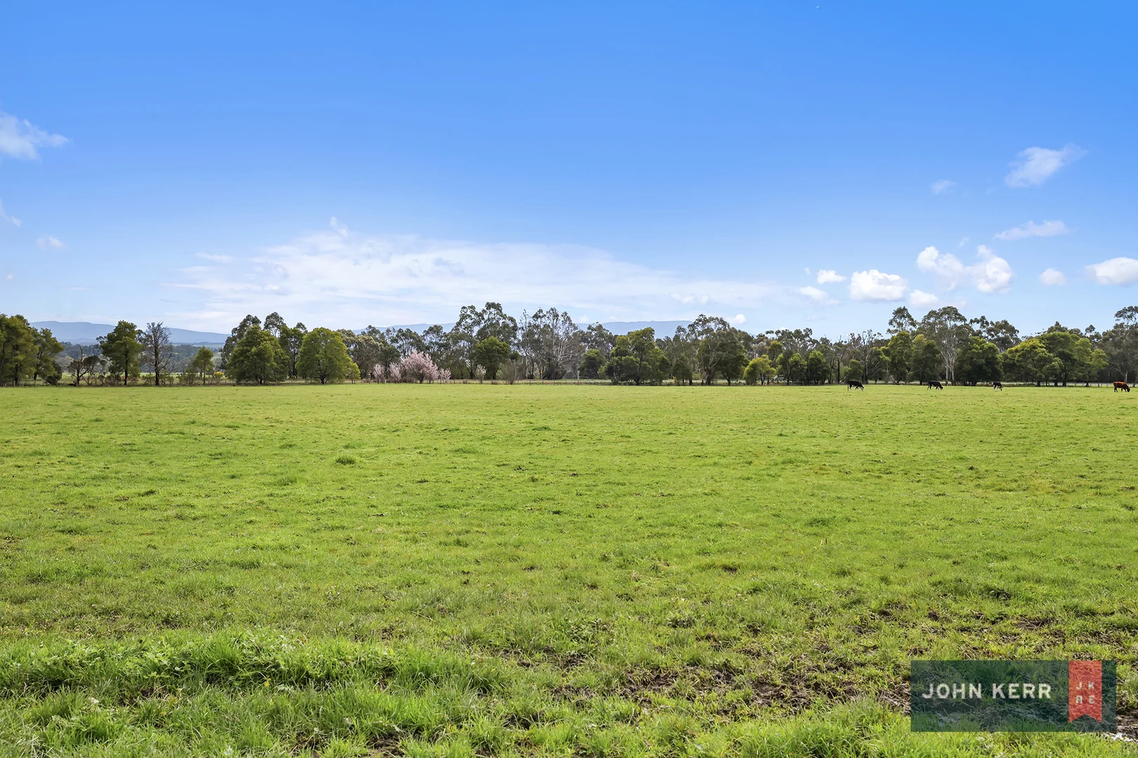 Additional image 11 of 115 Mountain Glen Drive, Moe VIC 3825