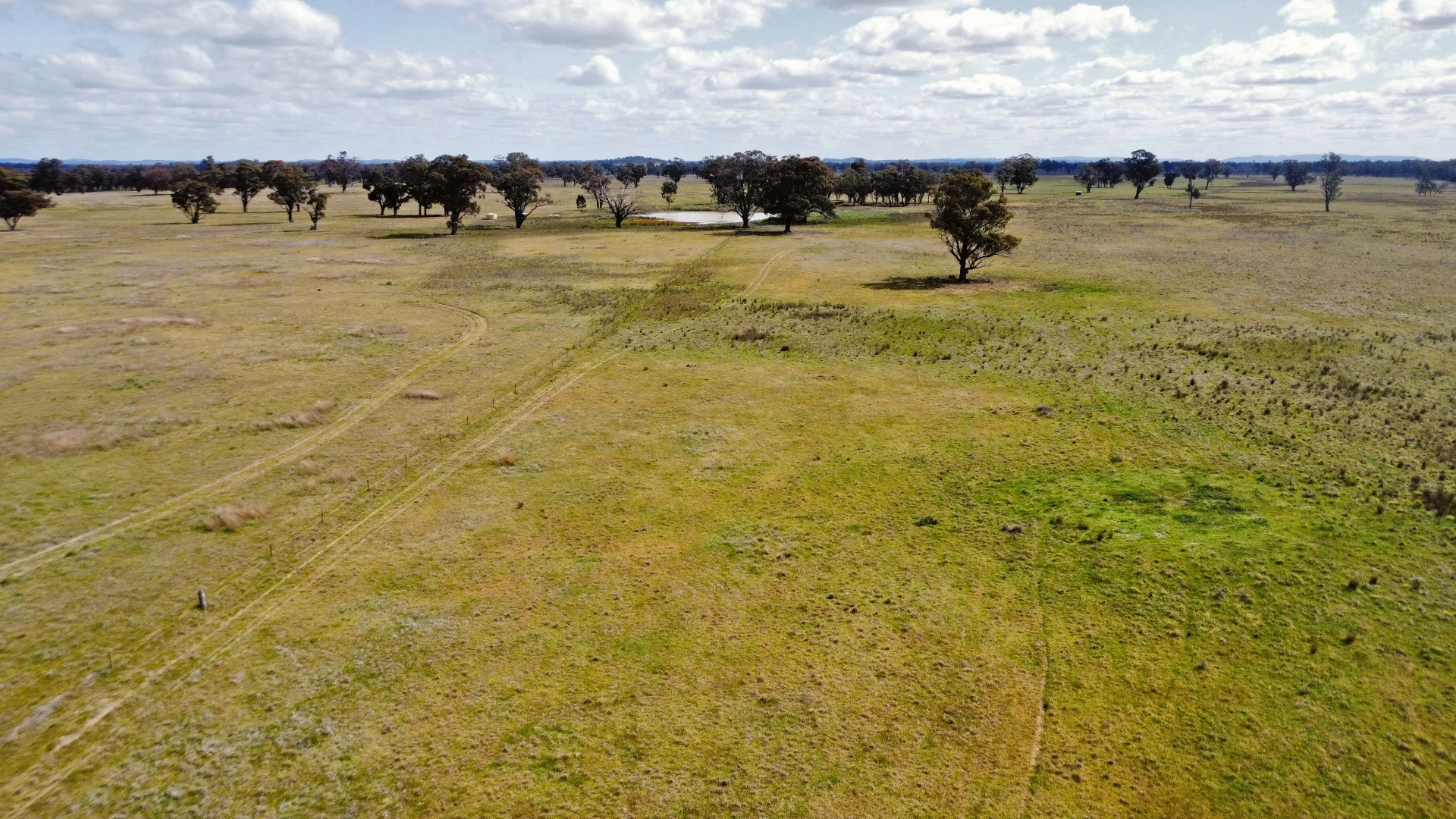 Additional image 4 of 1843 Yeo Yeo Hampstead Road, Young NSW 2594