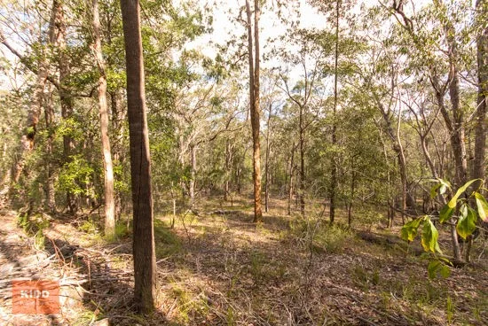 Additional image 7 of 62 Una Road, Bucketty NSW 2250