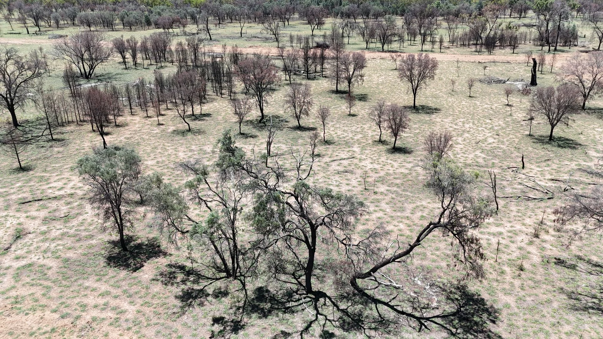 Additional image 20 of 202-410 Wallal Street, Bakers Bend QLD 4470