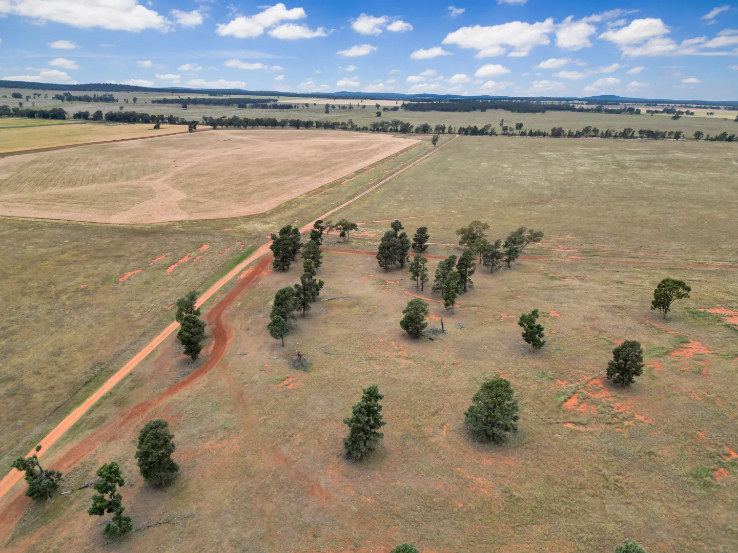 Additional image 5 of 'Werona' 904 North Yalgogrin Road, Tallimba NSW 2669