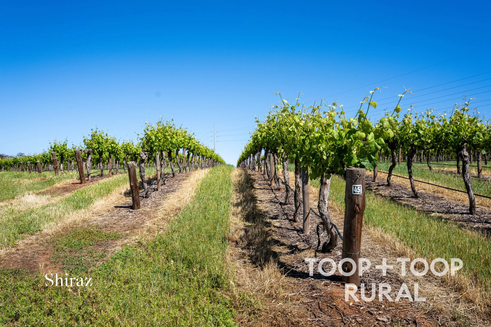 Additional image 6 of 303 Stonewell Road, Stone Well SA 5352