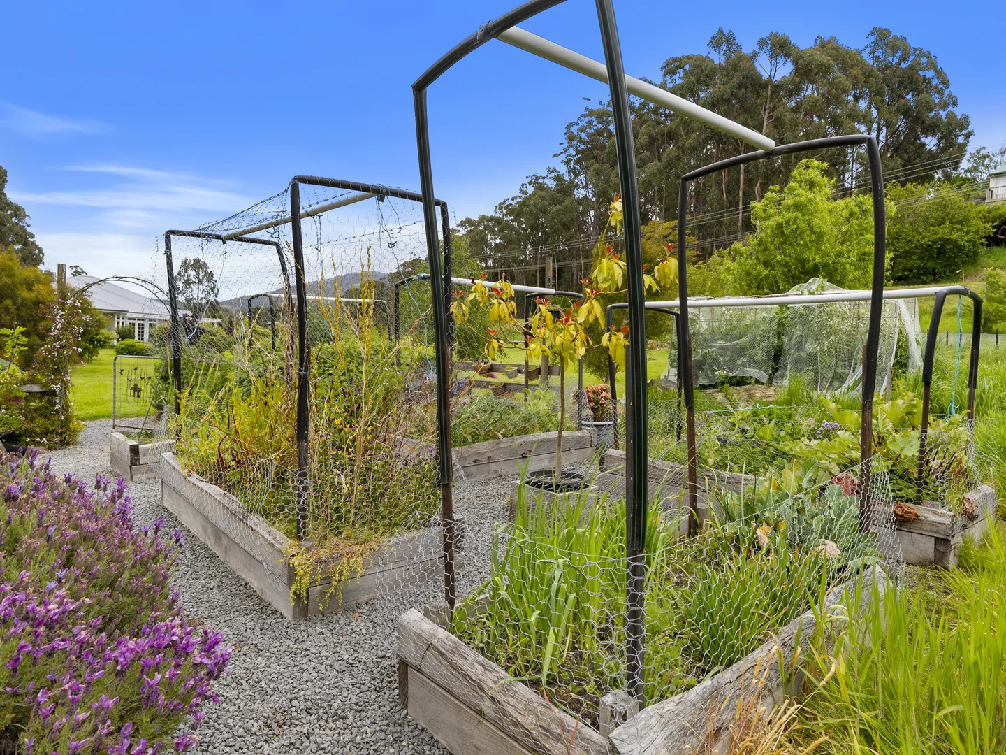 Additional image 31 of 55 North Huon Road, Ranelagh TAS 7109