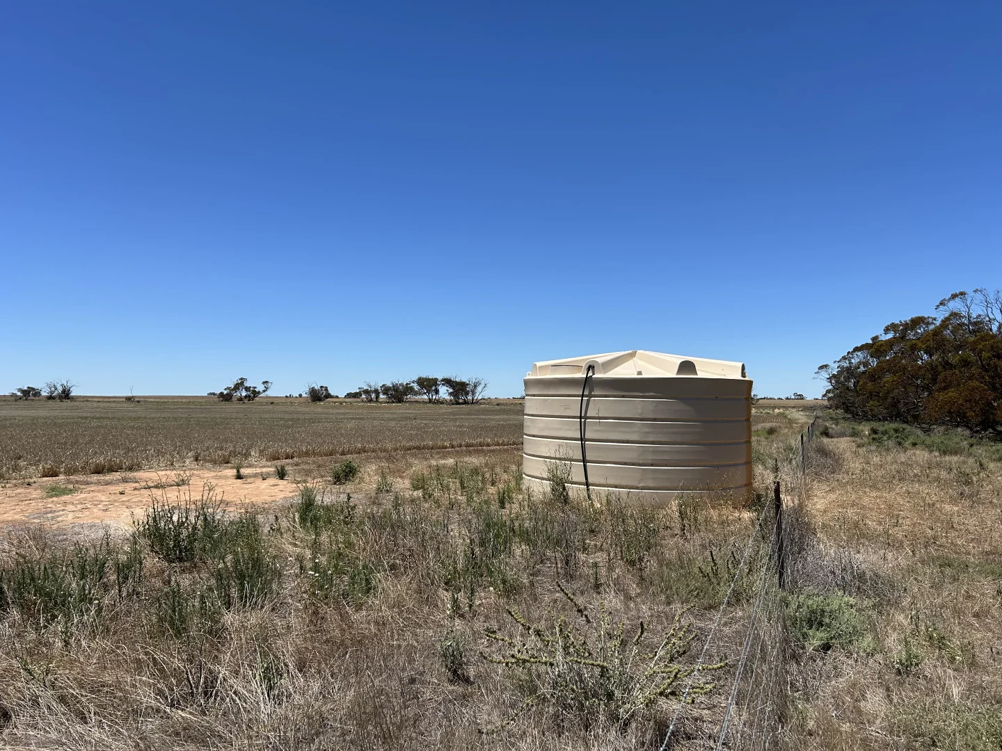 Additional image 8 of 8689 Browns Well Highway, Pinnaroo SA 5304