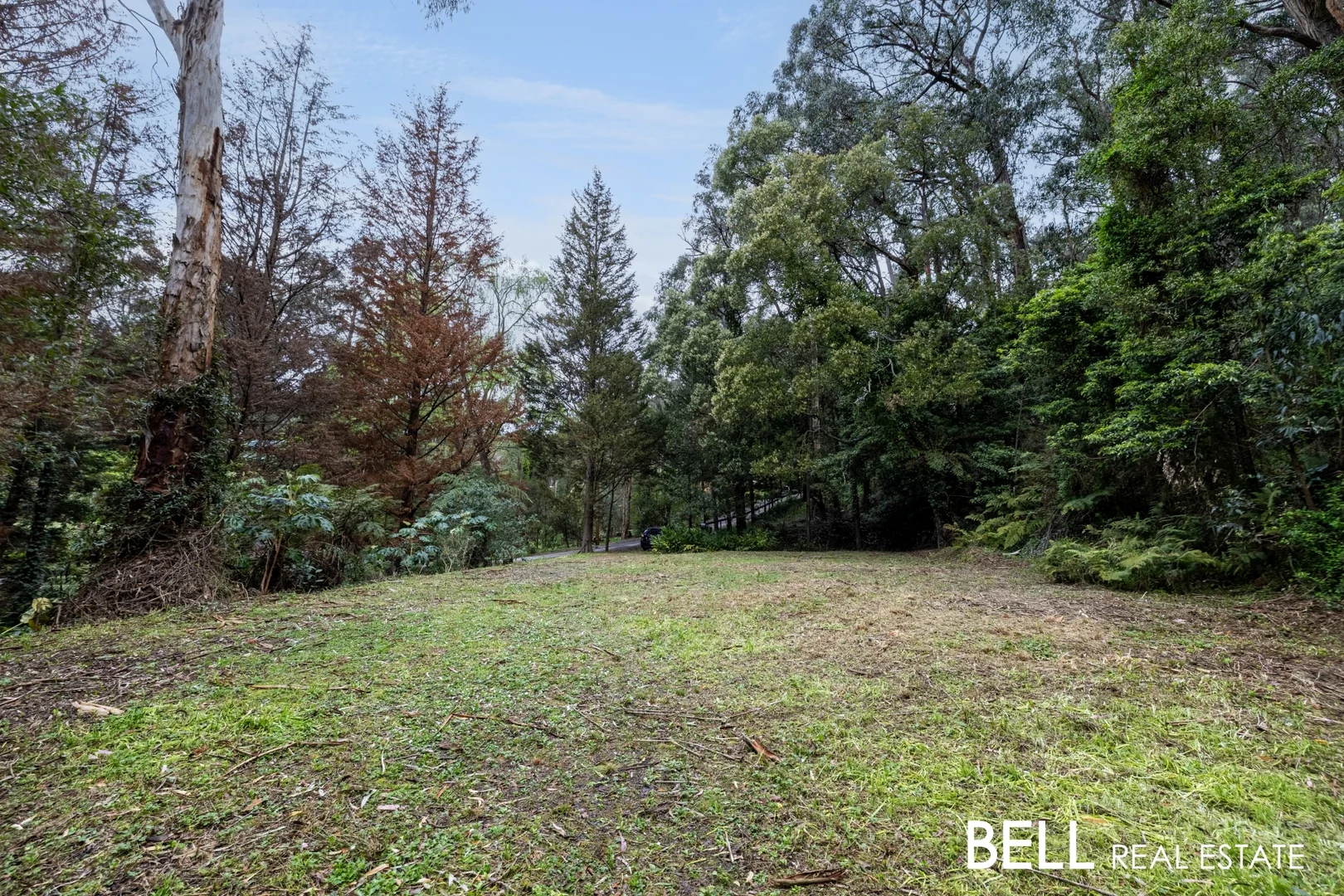 Additional image 8 of 103 Belgrave-Gembrook Road, Selby VIC 3159
