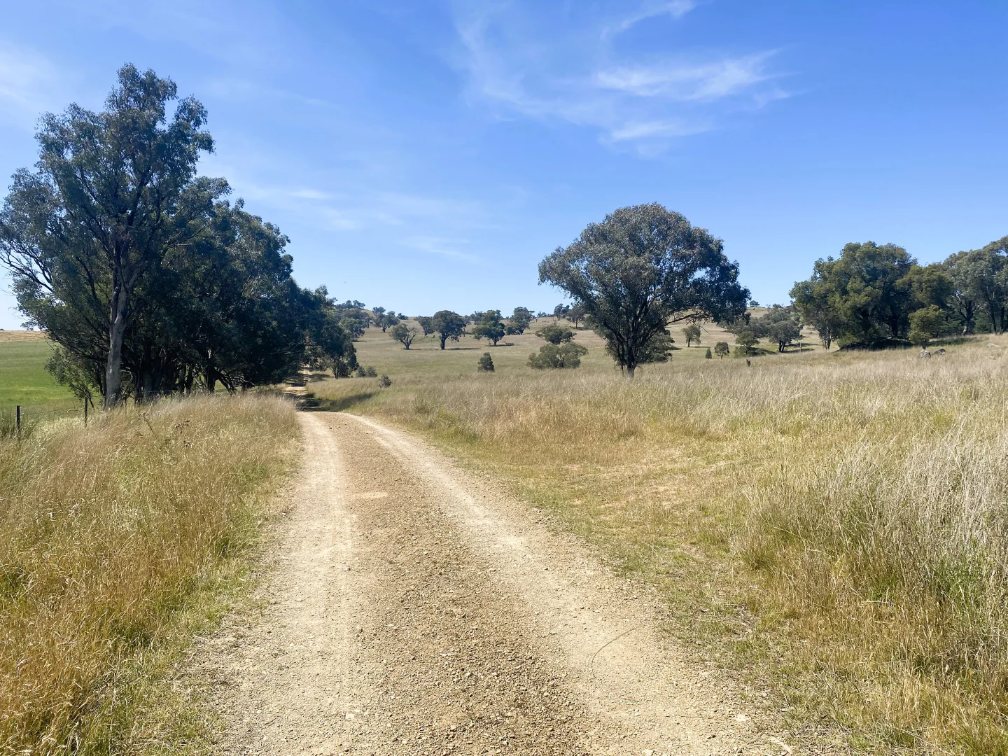 Additional image 28 of 250 Emu Creek Road, Canowindra NSW 2804