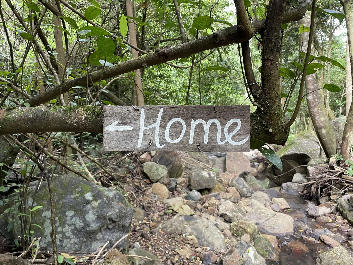 Additional image 32 of 76 Maso Road, Repentance Creek NSW 2480