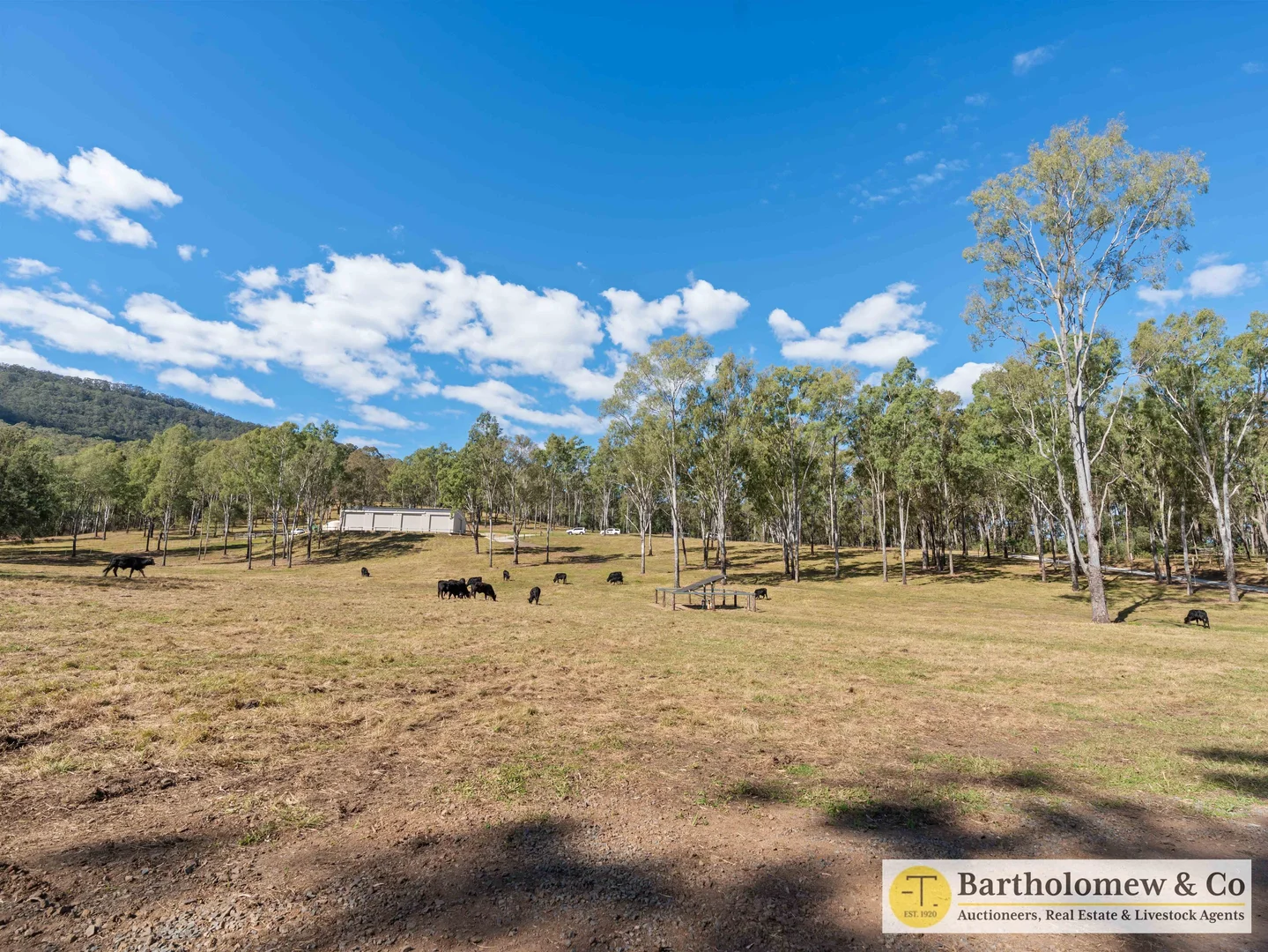 Additional image 12 of 486 Mundoolun Connection Road, Boyland QLD 4275