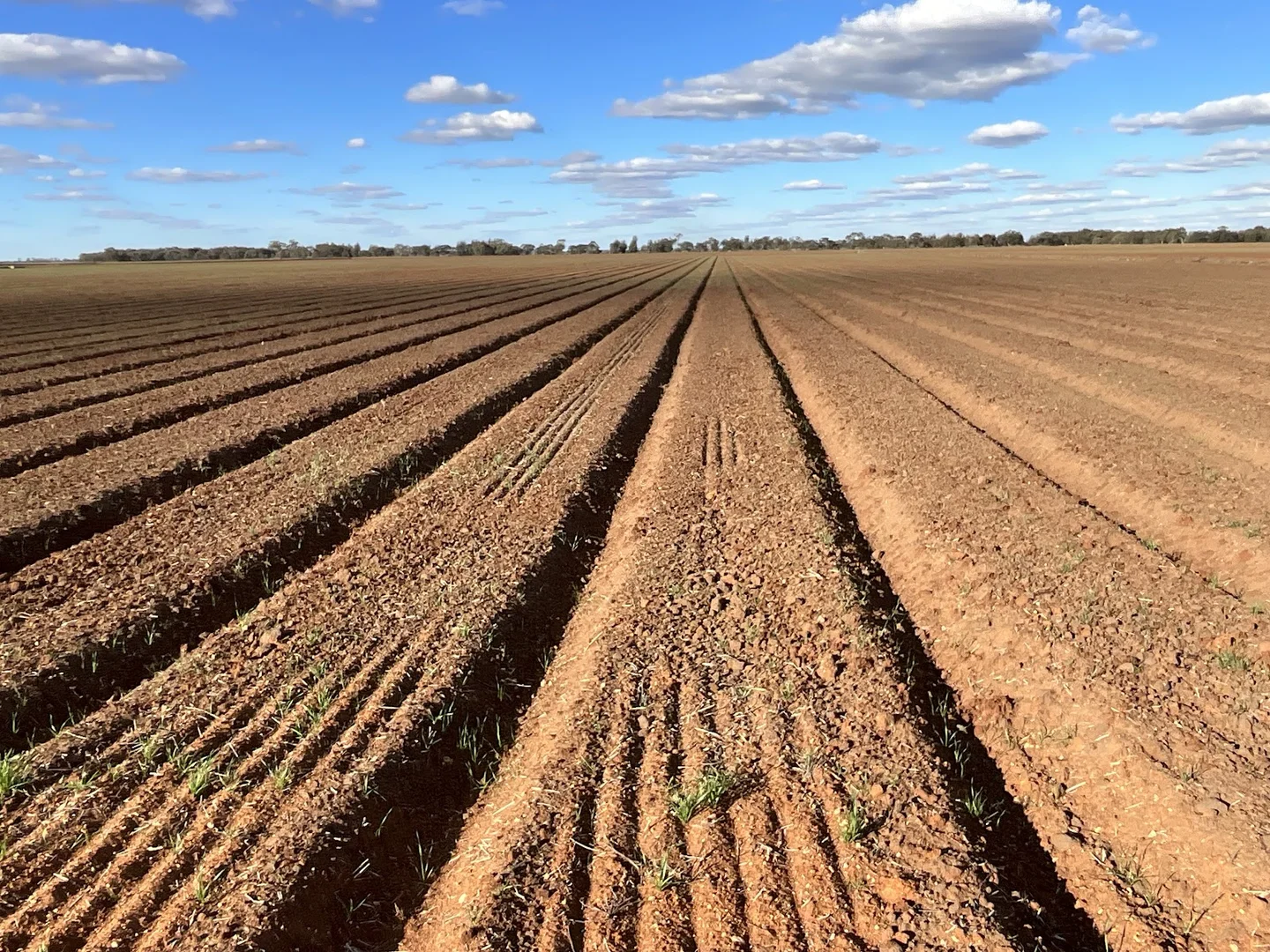 Additional image 15 of 73 Mirrool Branch Canal Road, Hanwood NSW 2680