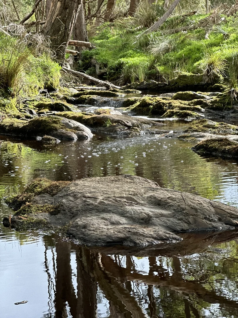 Additional image 25 of 90 Bischoffs Road, Pegarah TAS 7256