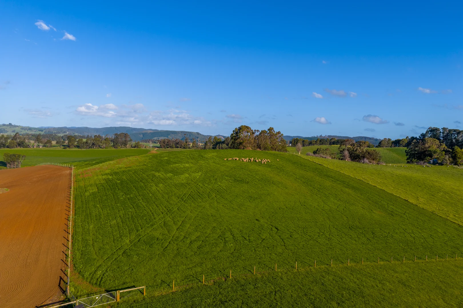 Additional image 13 of 520 Foster Road, Boolarra South VIC 3870