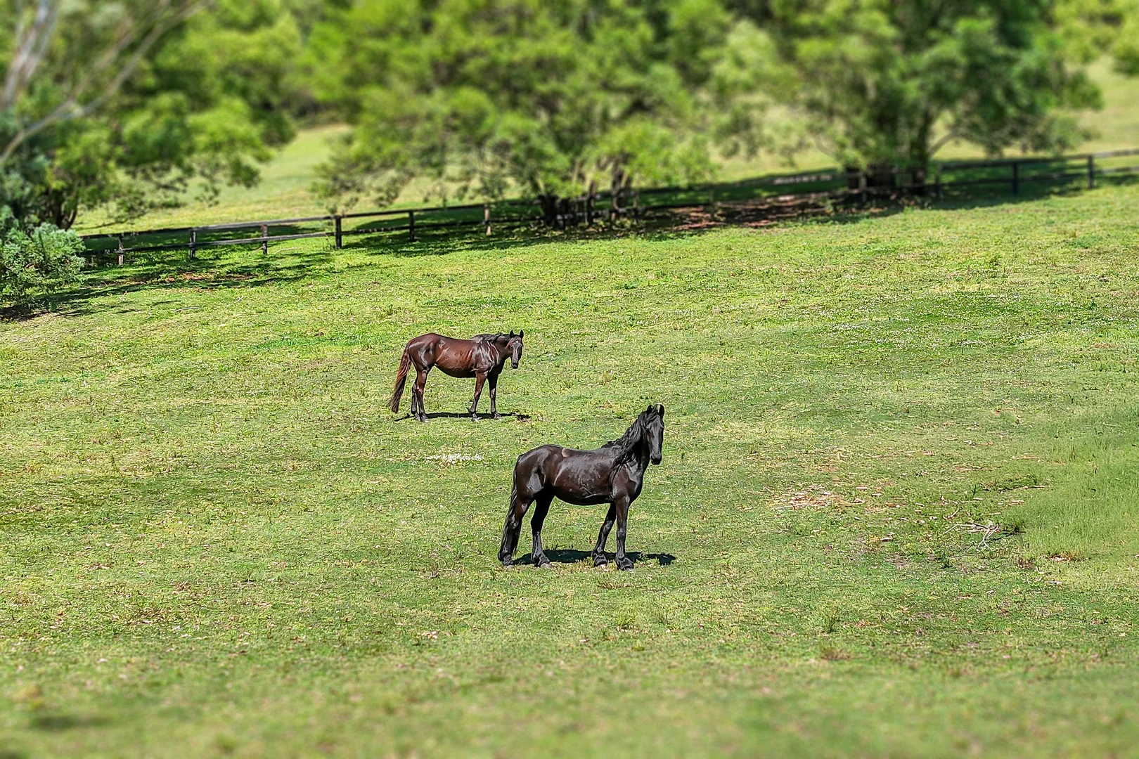 Additional image 6 of 176 Oak Road, Matcham NSW 2250