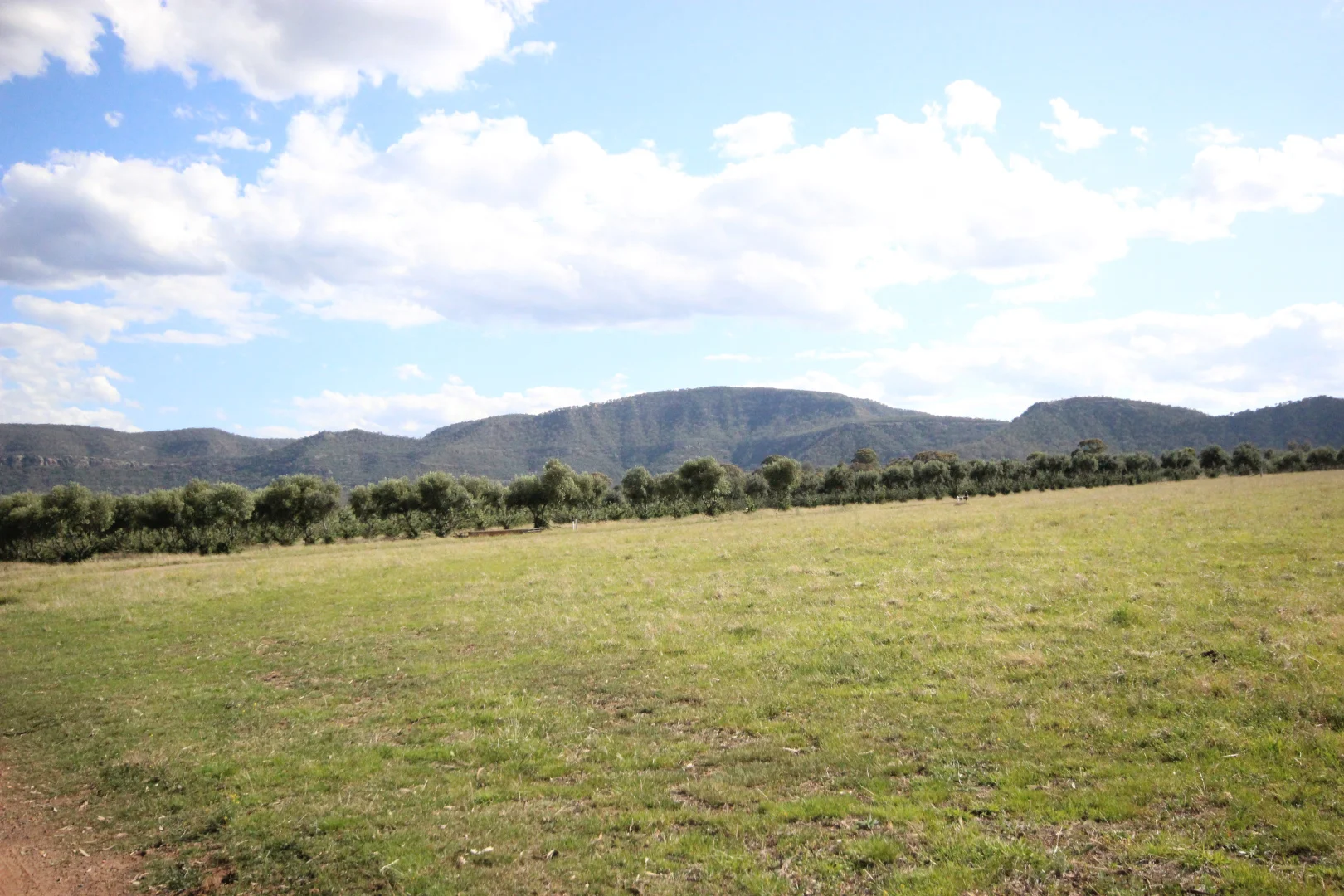 Additional image 29 of 207 Redmanvale Road, Jerrys Plains NSW 2330