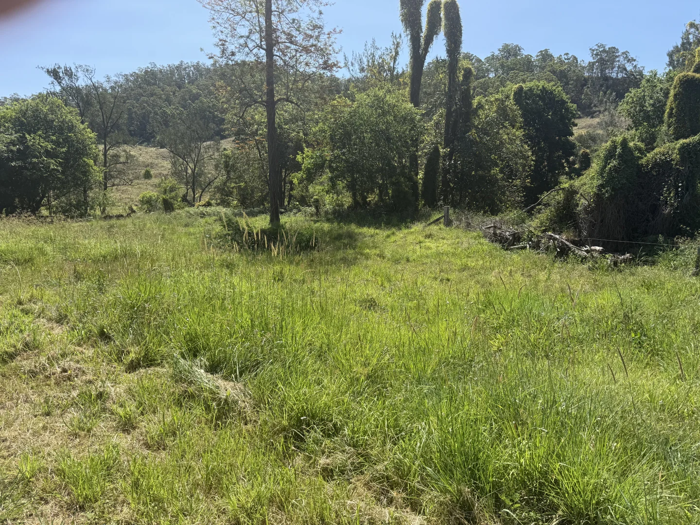 Additional image 20 of 1050 Afterlee Rd, Eden Creek NSW 2474