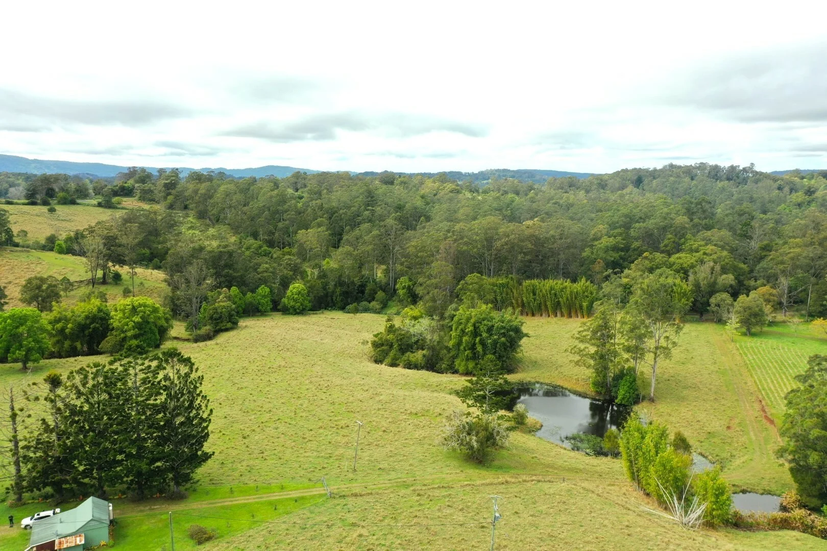 Additional image 10 of 66 Old Tweed Road, Wadeville NSW 2474