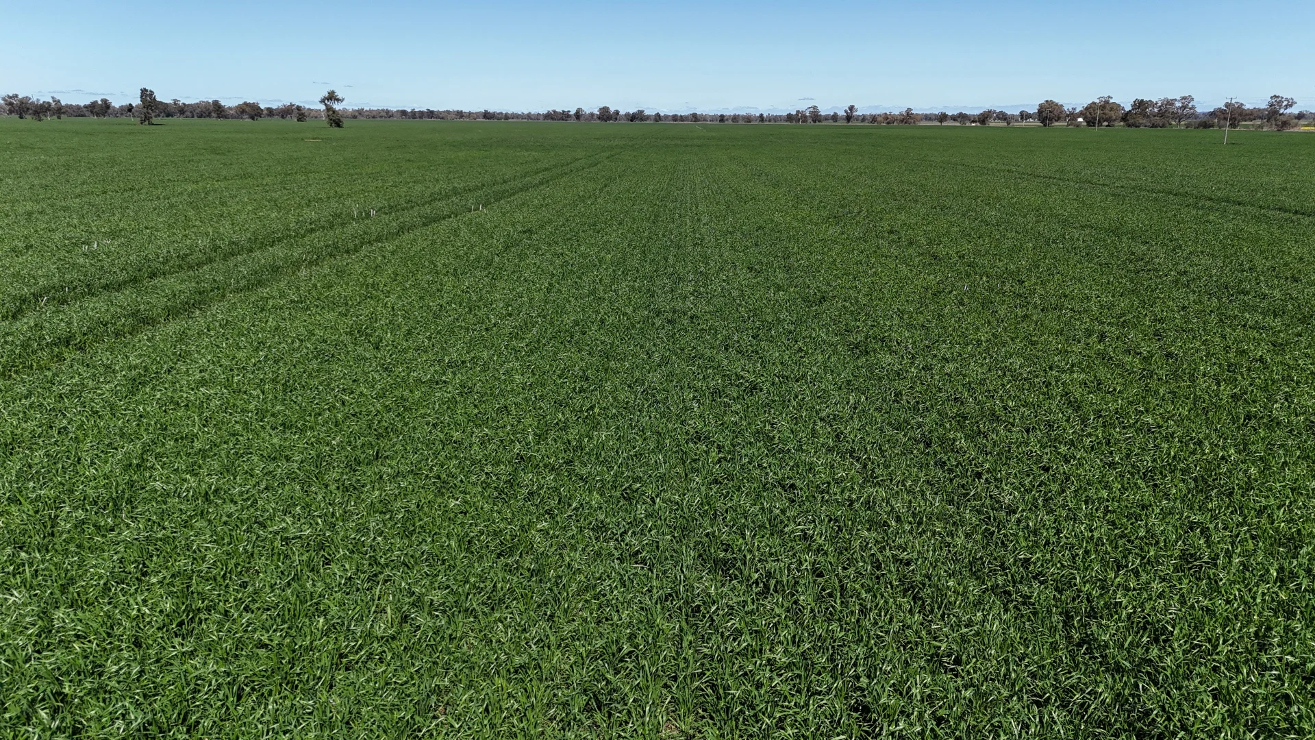 Additional image 12 of 2459 The Bogan Way, Parkes NSW 2870