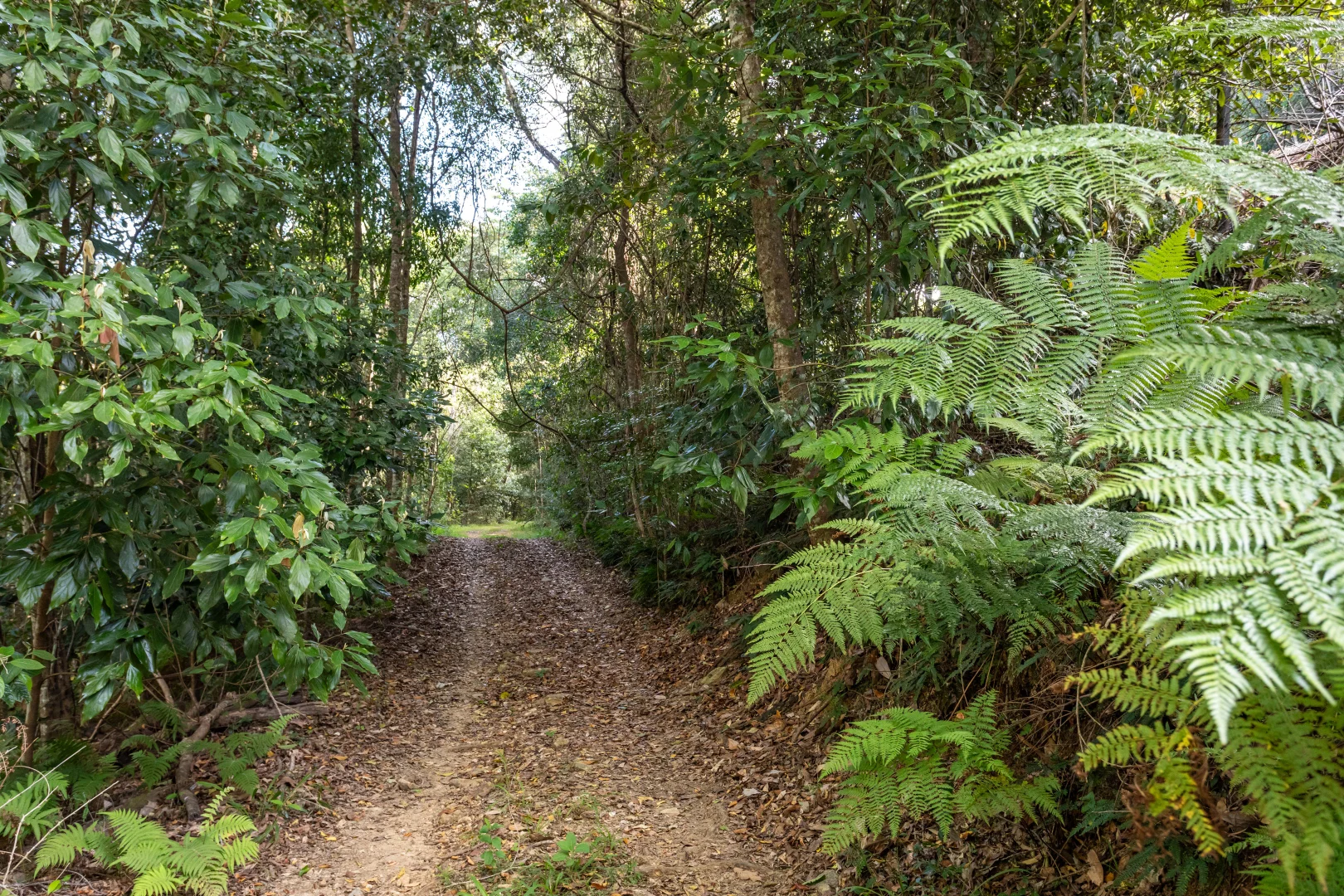 Additional image 38 of 686 Pomona Kin Kin Road, Kin Kin QLD 4571