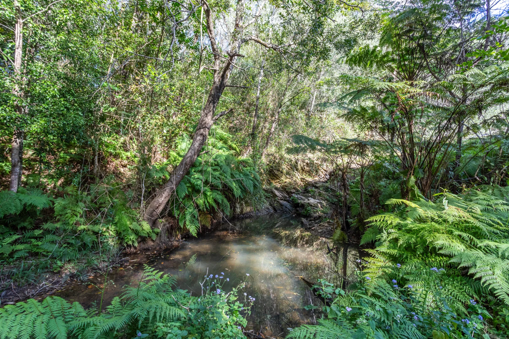 Additional image 48 of 686 Pomona Kin Kin Road, Kin Kin QLD 4571