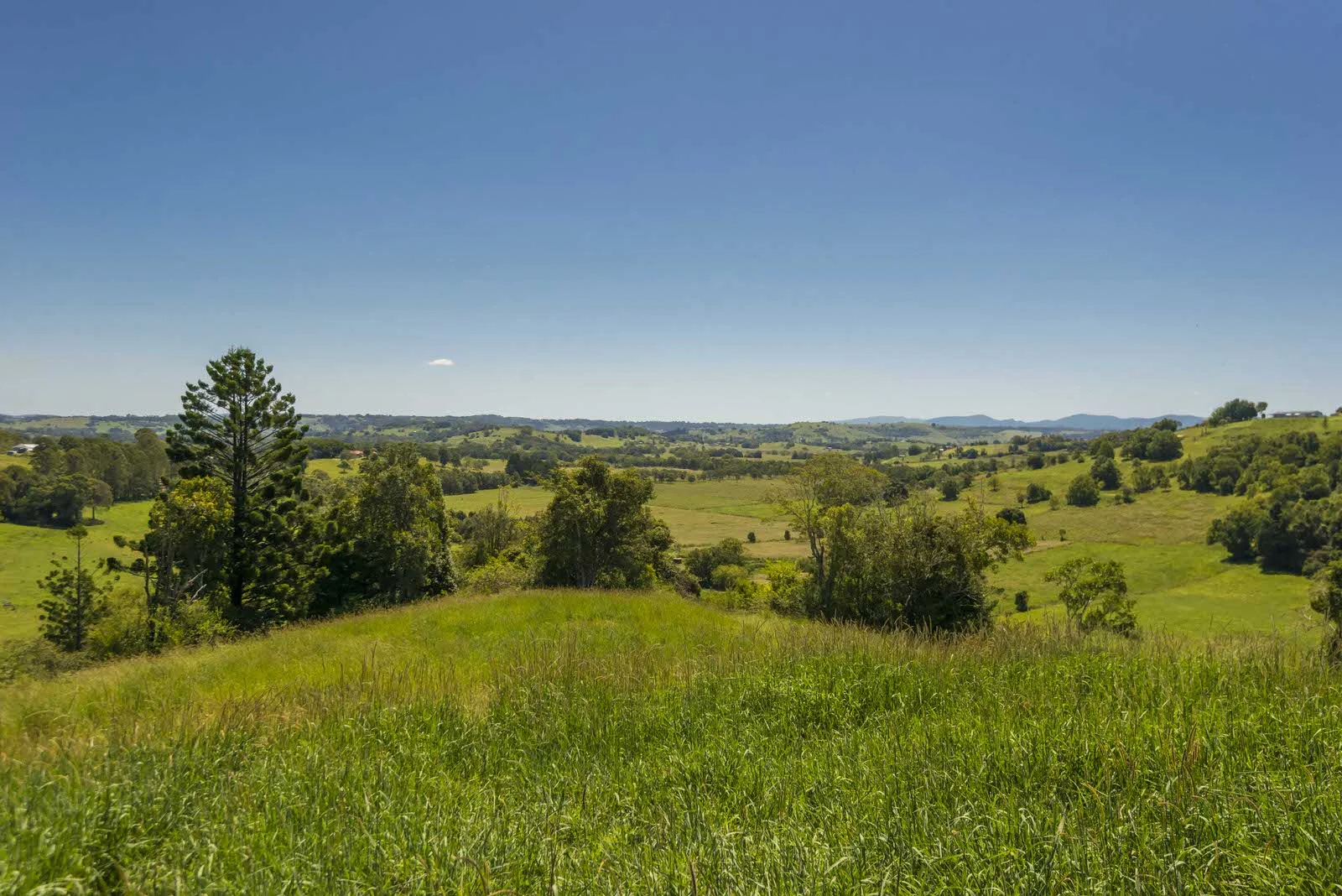 Additional image 3 of McLeans Ridges NSW 2480
