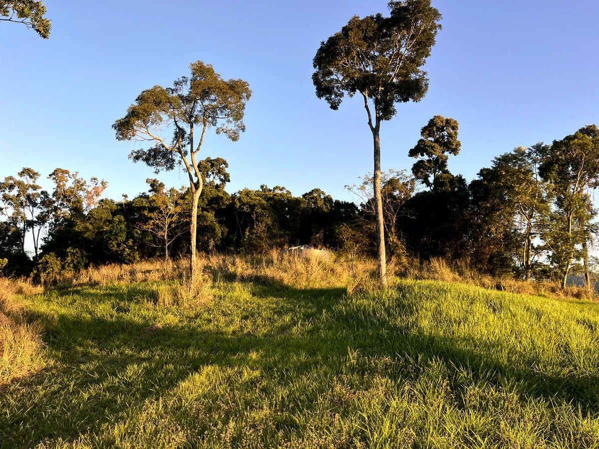 Additional image 3 of 514 Dunwoody Road, Ball Bay QLD 4741