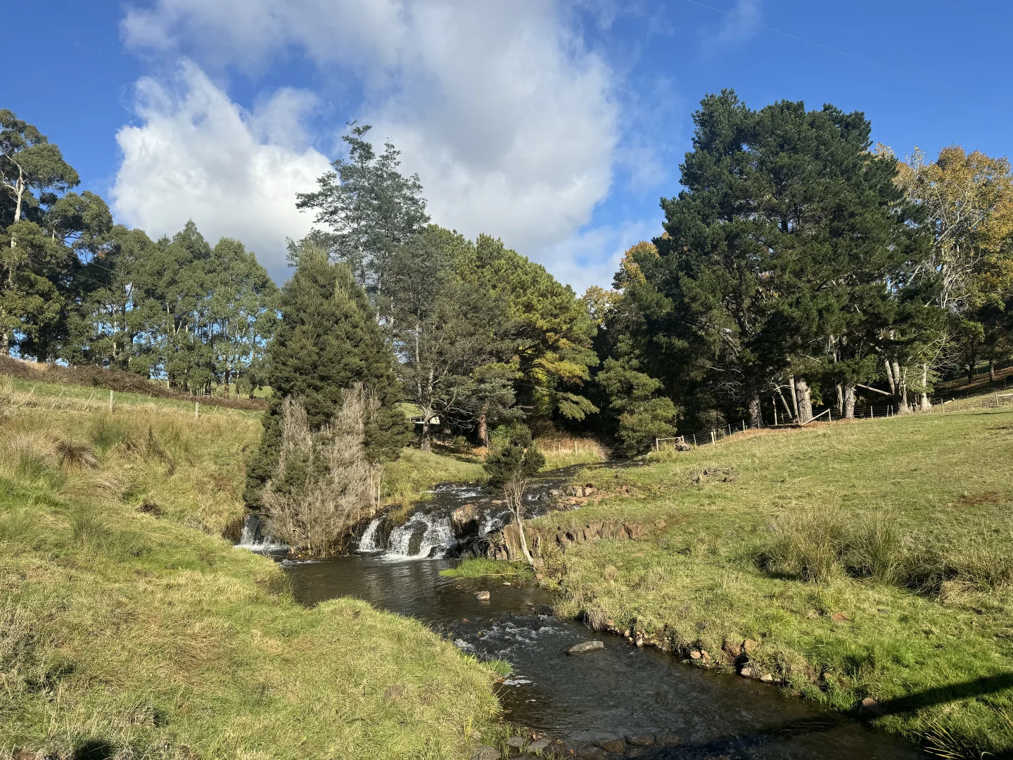 Additional image 2 of 98 Creamery Road, Sulphur Creek TAS 7316