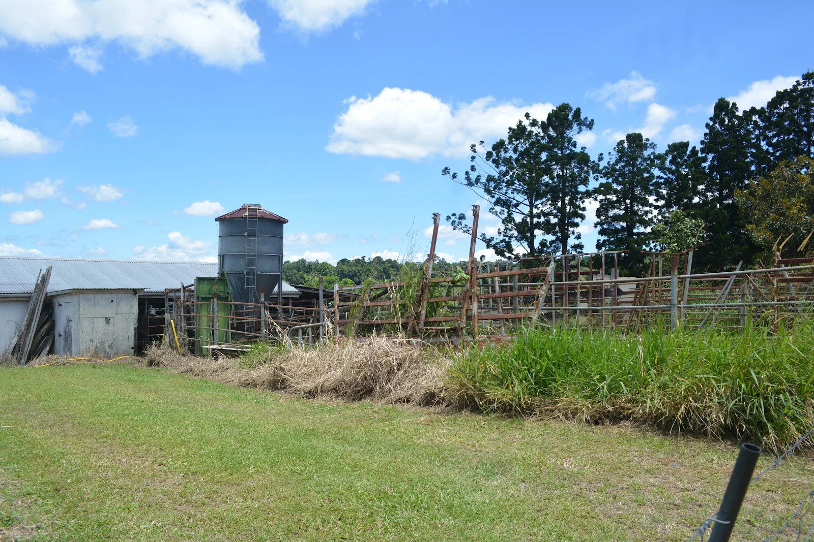 Additional image 67 of 780 MIDDLEBROOK ROAD, Millaa Millaa QLD 4886