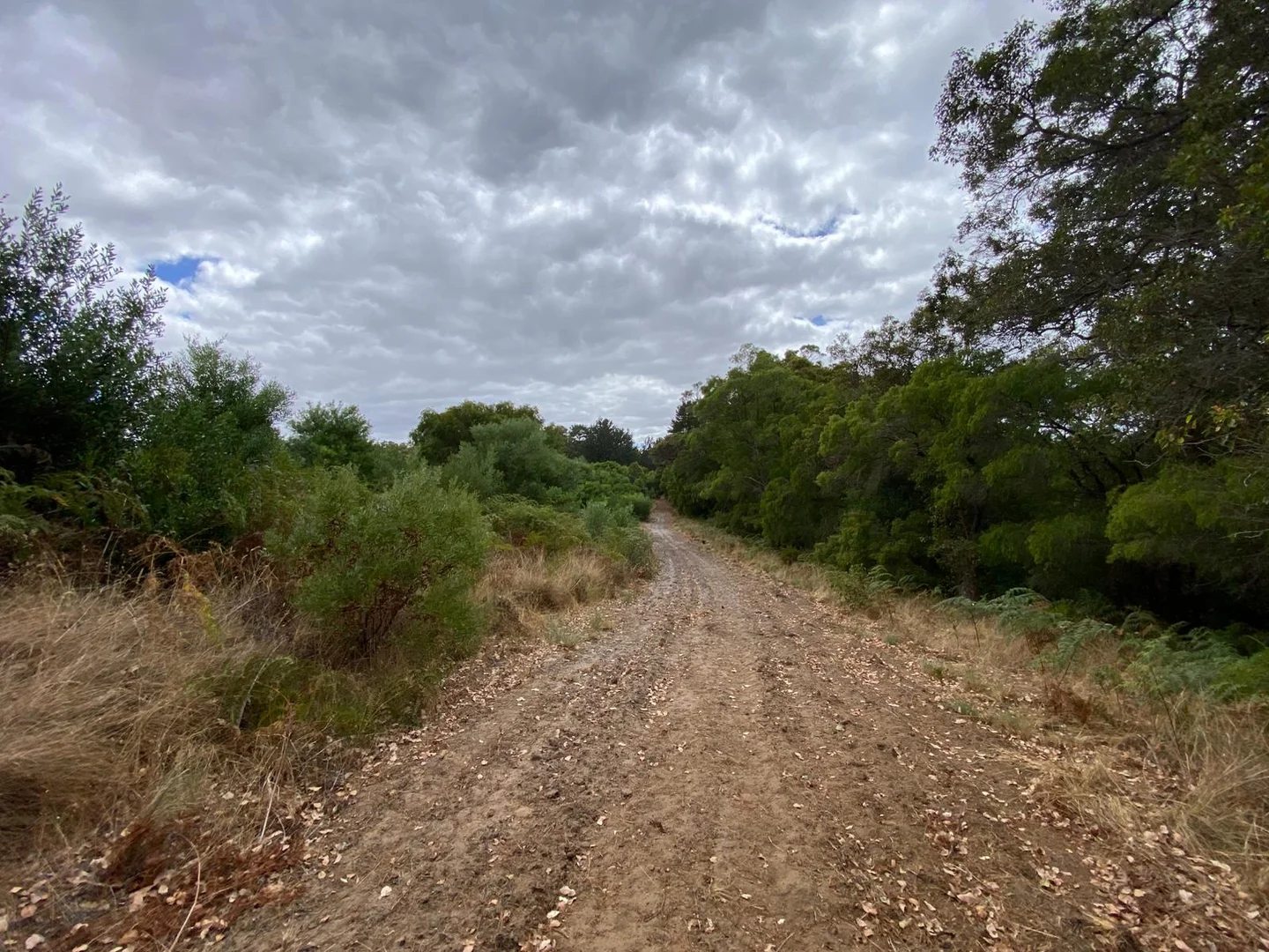 Additional image 9 of 45647 South Coast Highway, Kalgan WA 6330