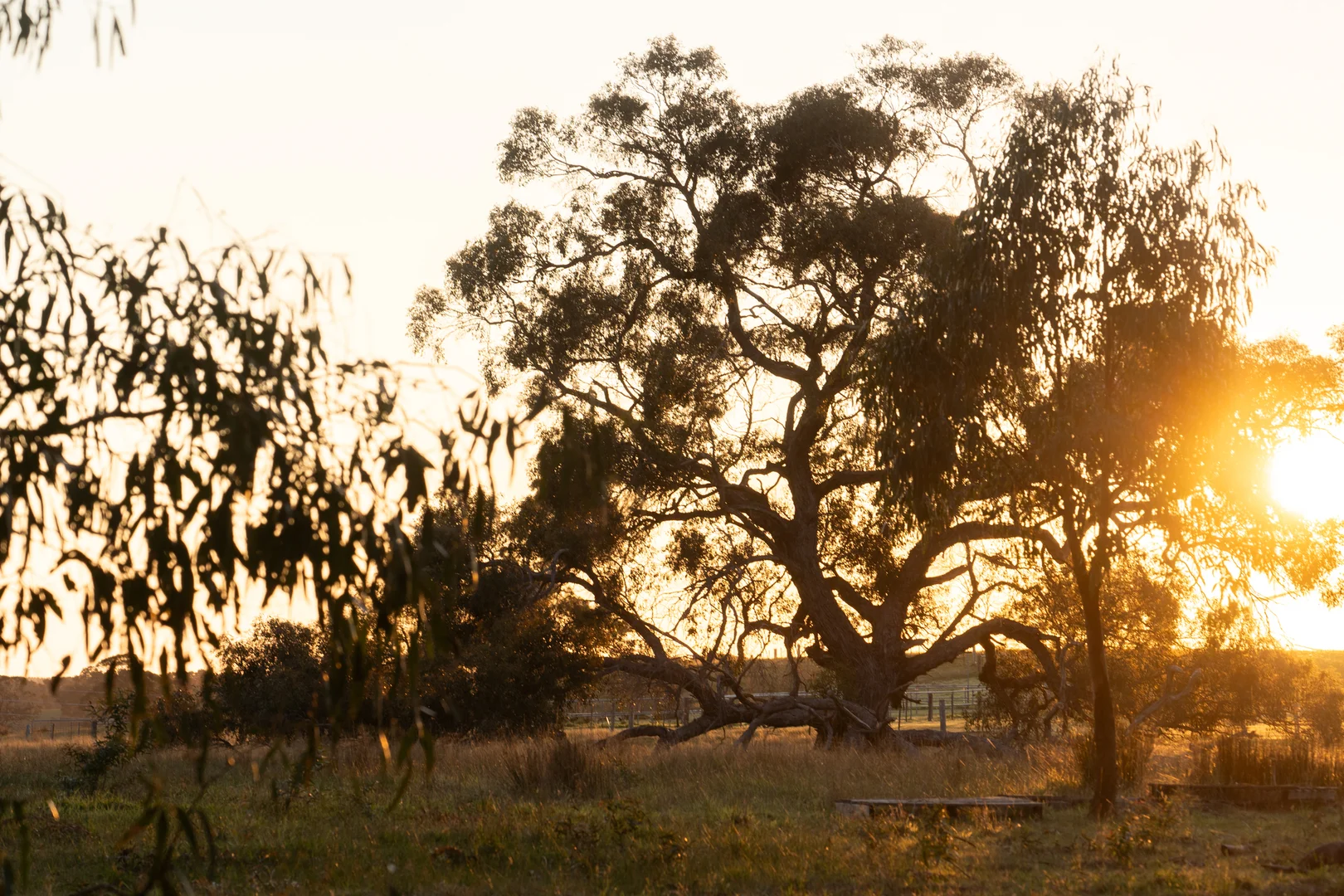 Additional image 20 of 153 Angees Road, Elaine VIC 3334