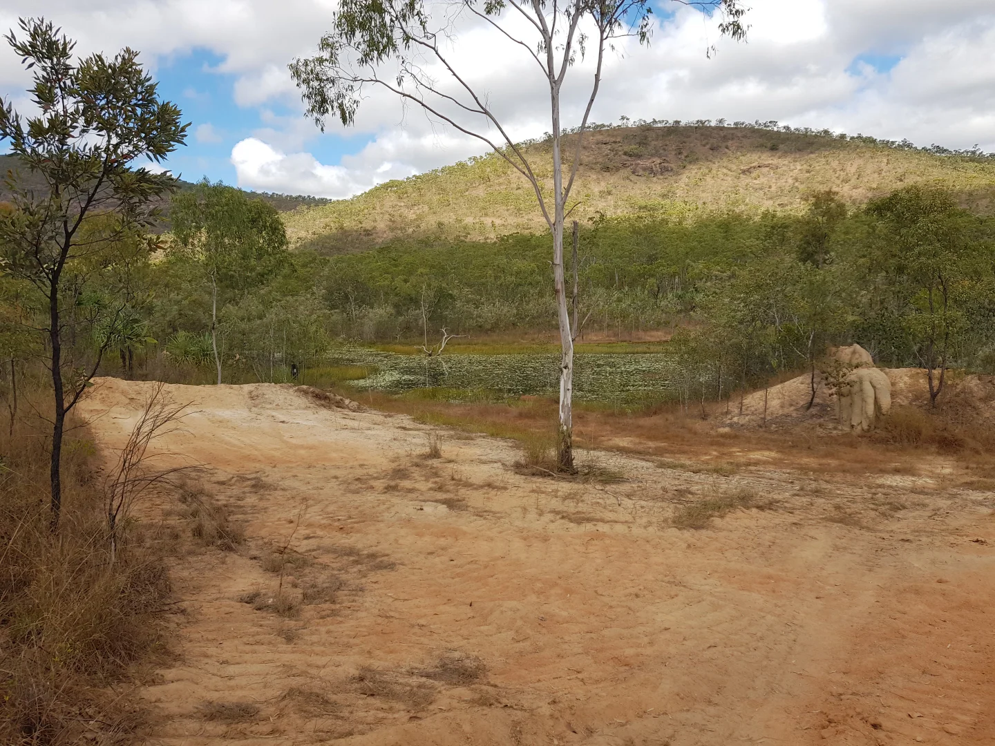 Additional image 6 of Lot 481 Sandy Creek Road, Dimbulah QLD 4872