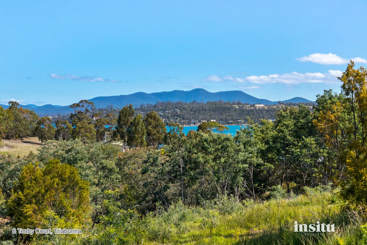 Additional image 8 of Tenby Court, Triabunna TAS 7190