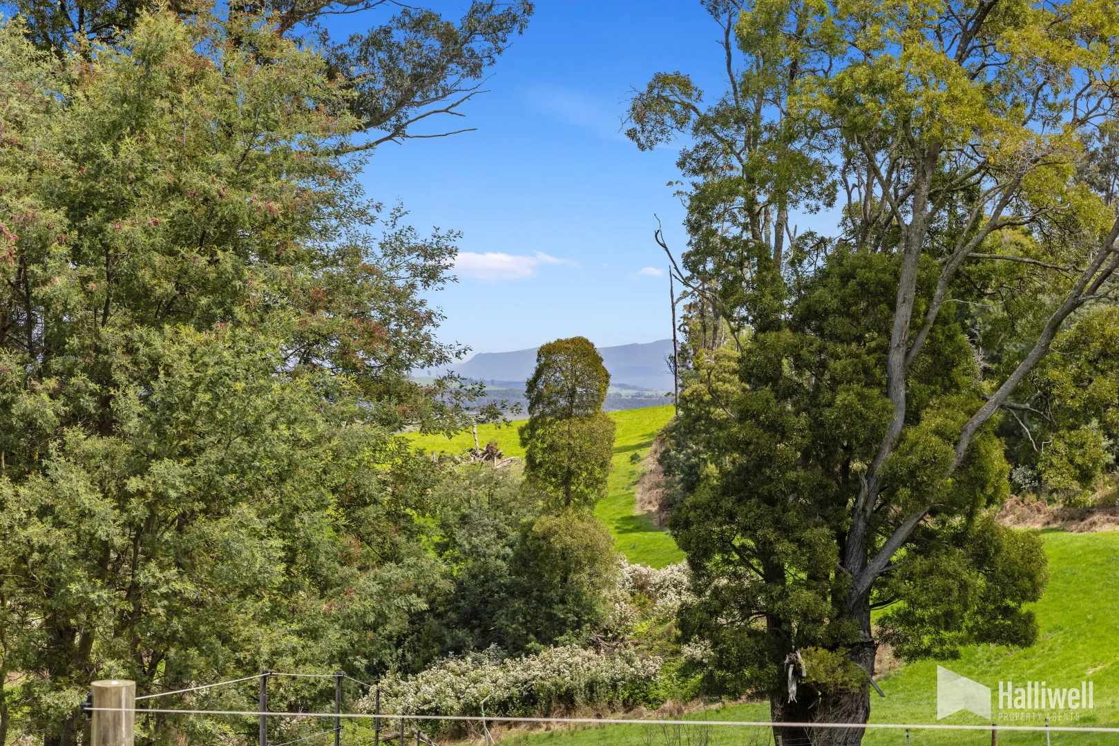 Additional image 20 of 451 Bradys Plain Road, Parkham TAS 7304