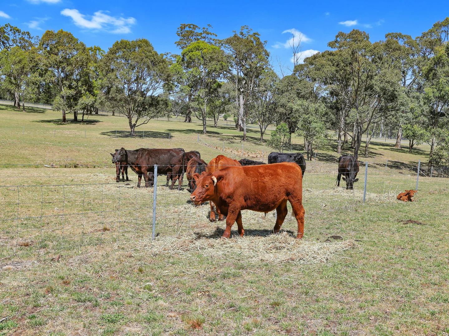 Additional image 29 of 49 Binghams Lane, Tallong NSW 2579