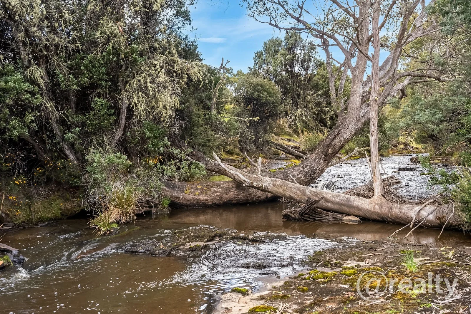 Lot 4/2399 Victoria Valley Road, Victoria Valley TAS 7140