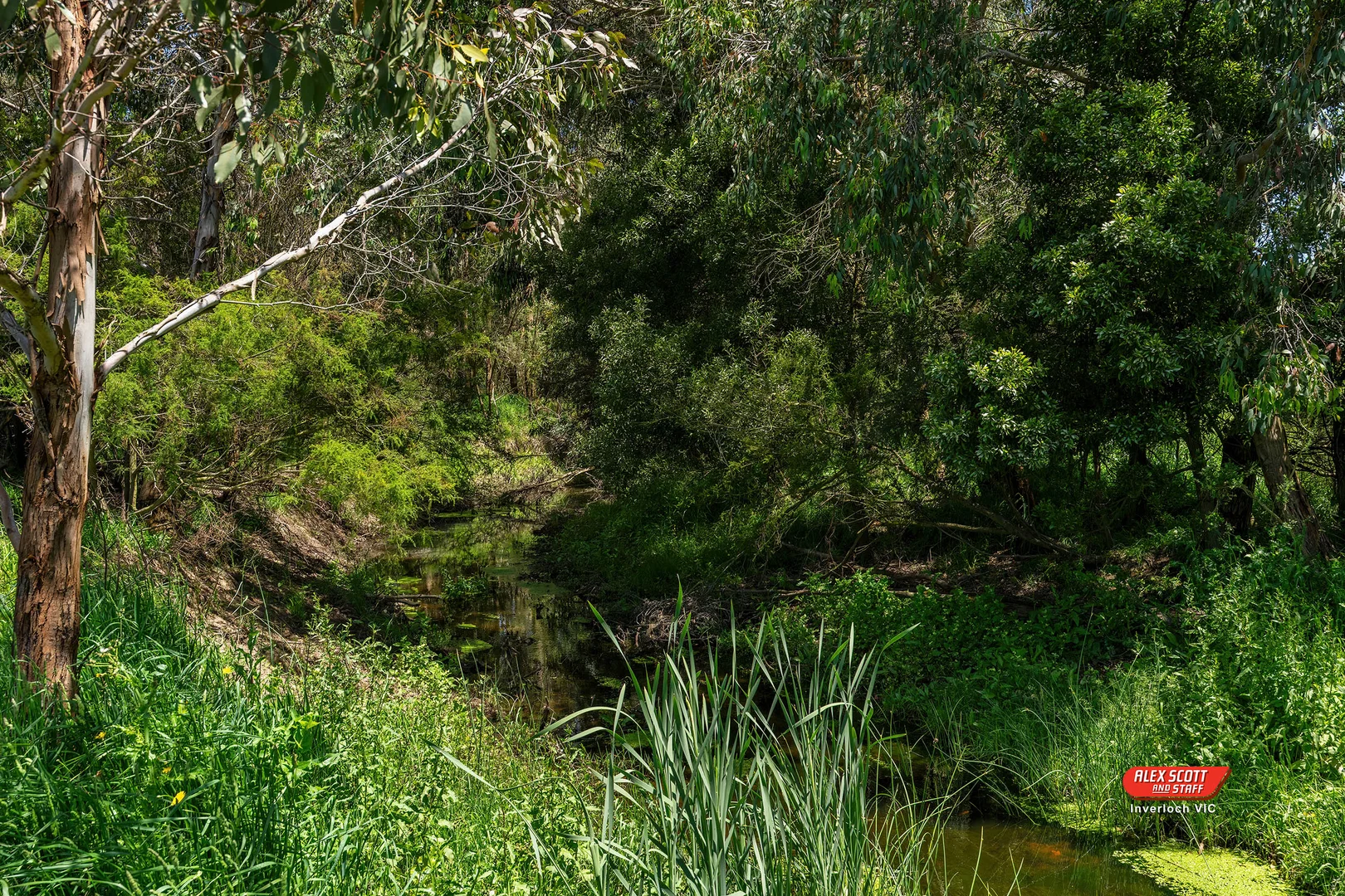 Additional image 5 of Lot 2 Kongwak Road, Glen Alvie VIC 3979