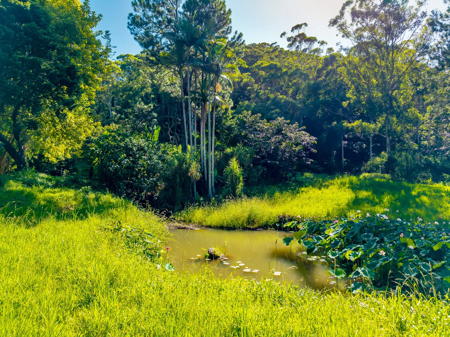 Additional image 45 of 196-276 Kaiser Road, Tamborine Mountain QLD 4272